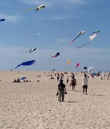 Dans Un Cadre Paradisiaque